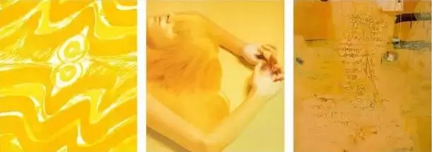 2017色彩趨勢分析